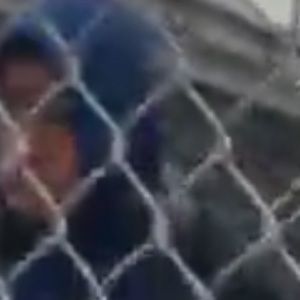 Meet your Posher, Gavin